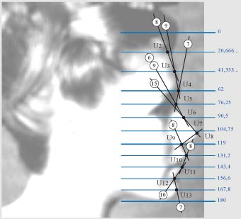 показатели пропорций в лицах людей в ракурсе физиогномики