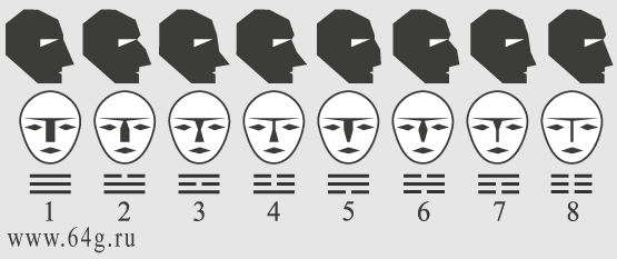 Human Nose Types Chart