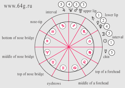Birth Chart Circle